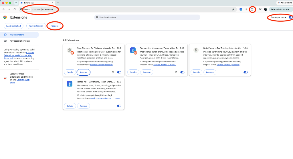 Chrome extensions page with Developer mode and Update button circled